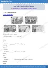 Đề thi giữa kì 2 Tiếng Anh 5 Family and Friends - Đề số 1